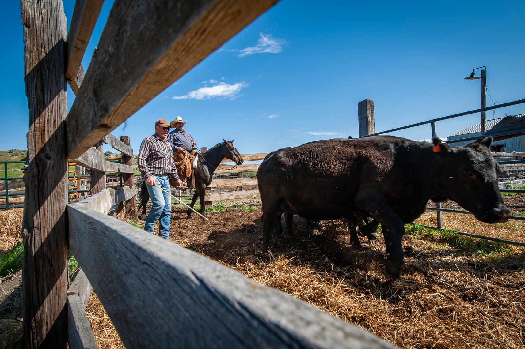 2009-Rolston-Branding-Triangle-Ranch-0012