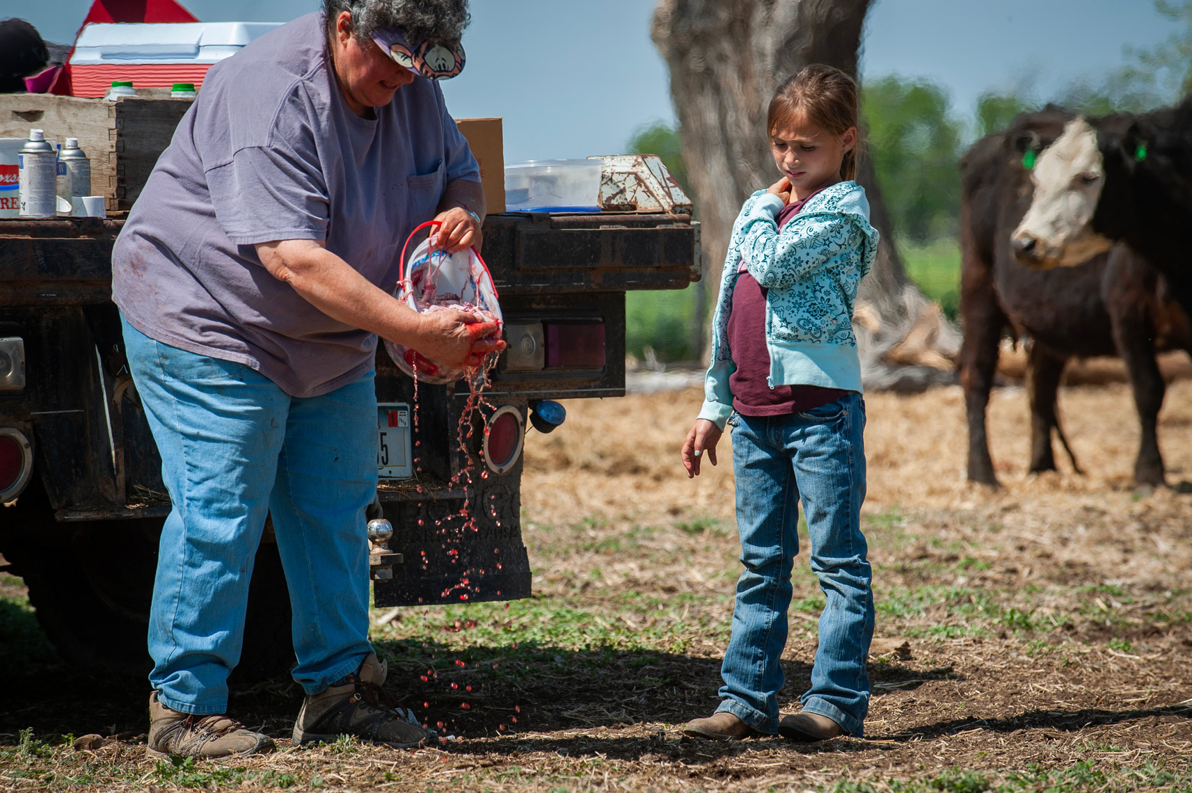 2009-Rolston-Branding-Triangle-Ranch-0019