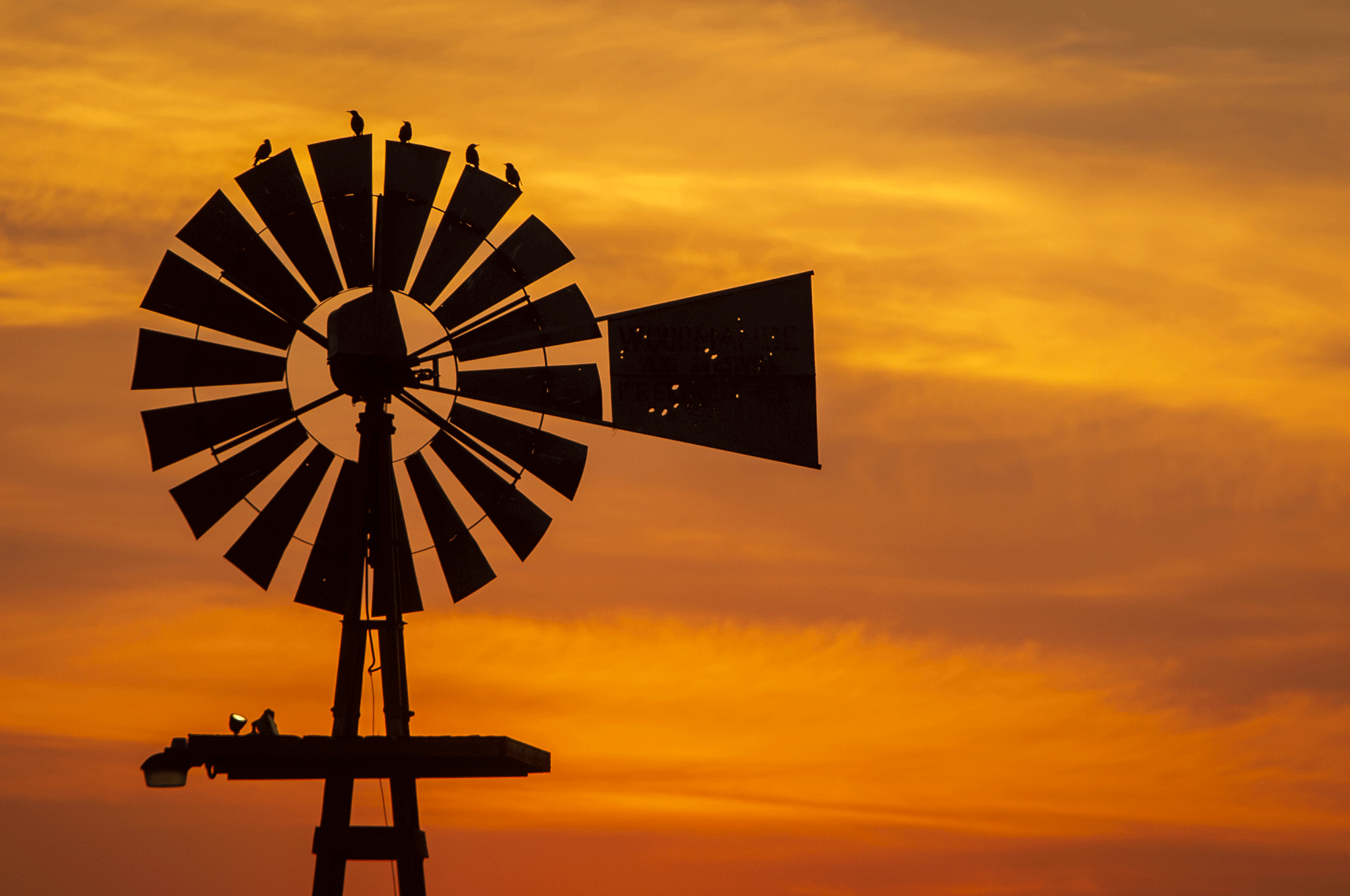 Colorado-Old-Windmill-001
