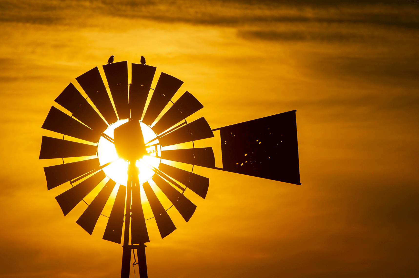 Colorado-Old-Windmill-010