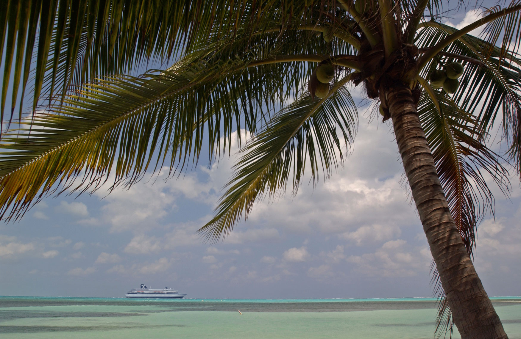 Grand-Cayman-Island-Photography-by-Kort-Duce-010