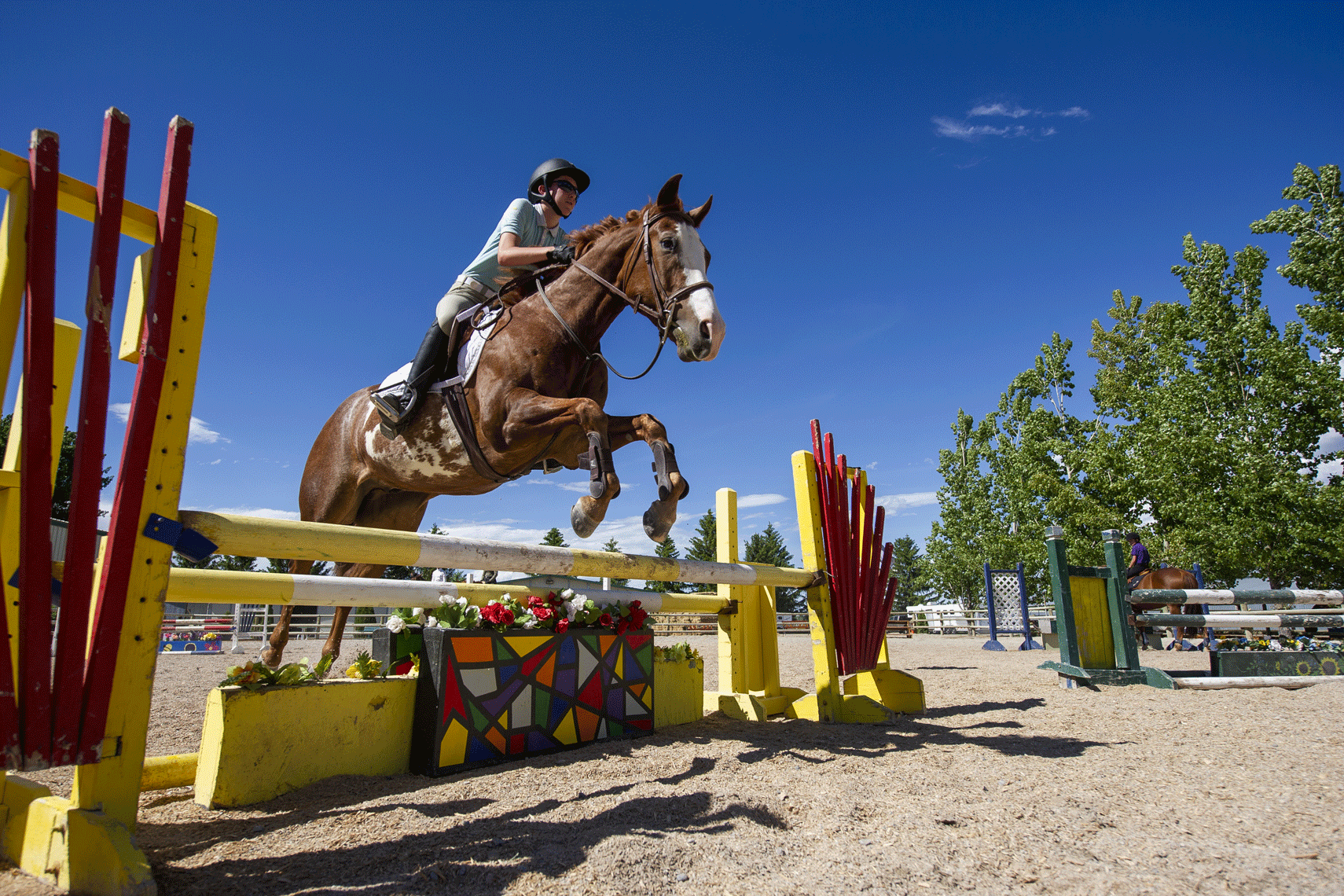 James-Waldman-Clinic-June-2020-Parkwood-Equestrian-045