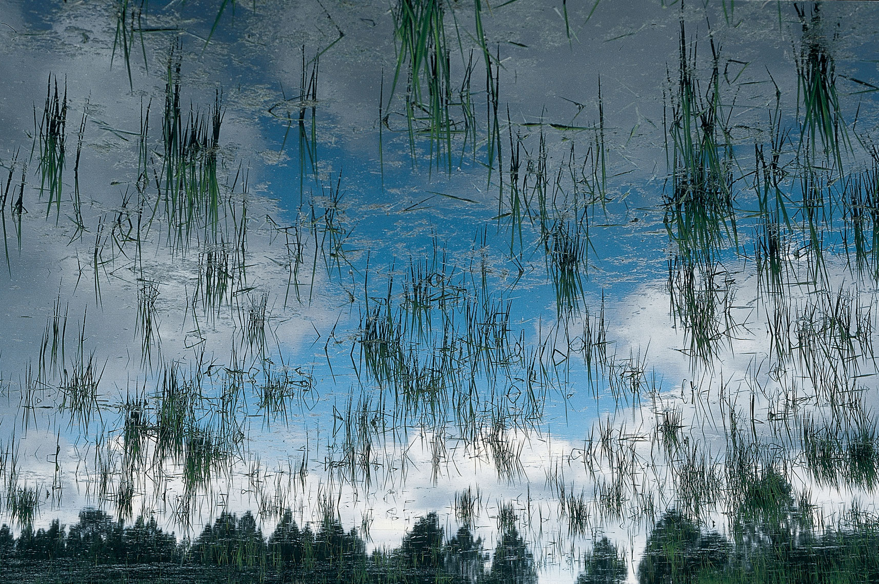 Scenic-Photography-by-Kort-Duce-012