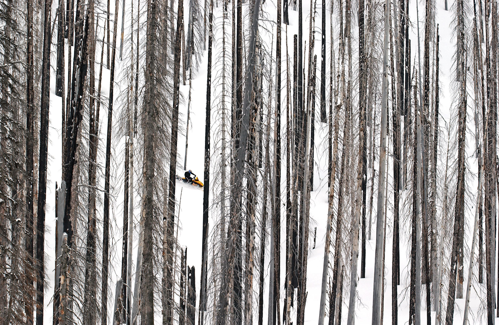 Snowmobile-Photography-by-Kort-Duce-192